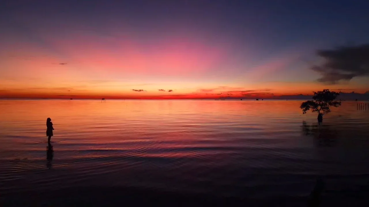 A silhouetted person in shallow water at sunset, with a coastal tree in the distance.
