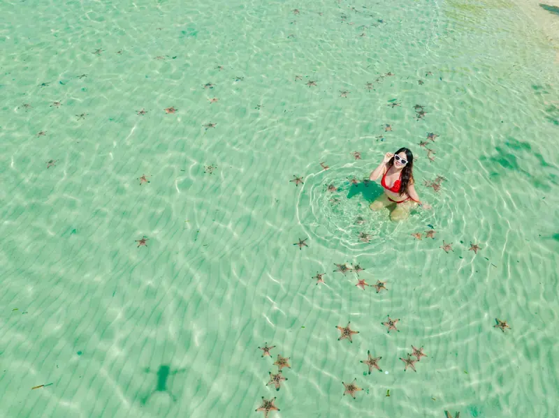 Overhead portrait of a traveller in clear shallow water with starfish visible below